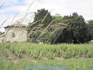 Cliquez pour agrandir l'image